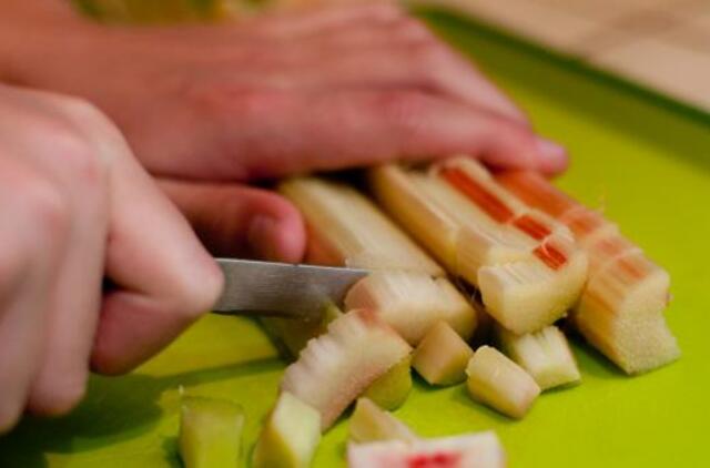 Gyvenimas pro langą: rabarbarų kompotas