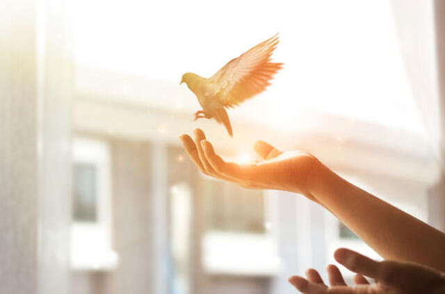 Gyvenimas pro langą: šiandien nuleidžiu roletus...