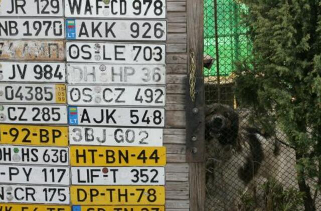 Nepagailėjo 1500 eurų už ypatingą automobilio numerį, tačiau „Regitra“ atsisakė jį išduoti