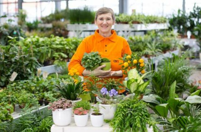Patarimai dekoratyvinių krūmų mėgėjams: rododendrų ir magnolijų priežiūra