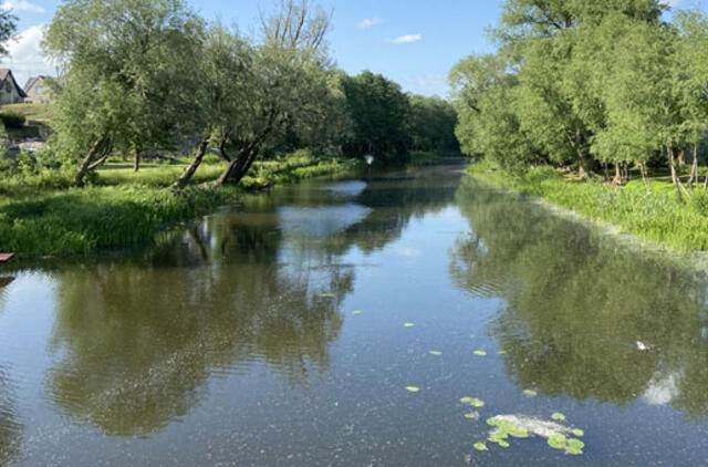 Bulvaras: Išsprendė amžinąjį konfliktą