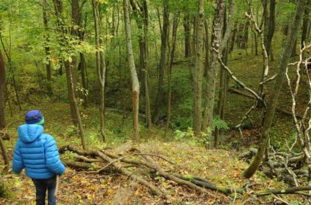 Dėl Girulių miško - politikų memorandumas