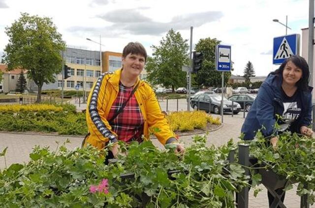 Gargžduose akis džiugins įvairiaspalviai žiedai