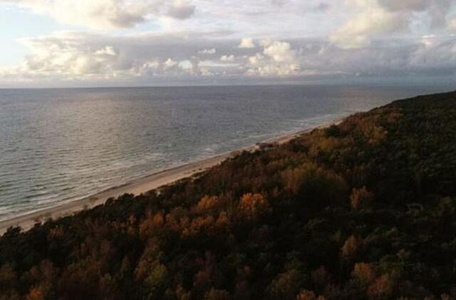 Girulių miškas – ne vieta geležinkelio mazgo plėtrai