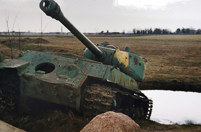 Orvidų sodybos savininkė: "Salantiškiai tanko neatiduos"