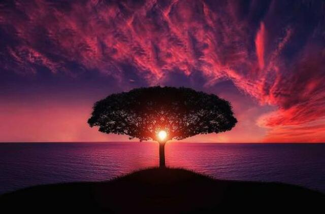 Pirmadienio horoskopas 12-kai zodiako ženklų