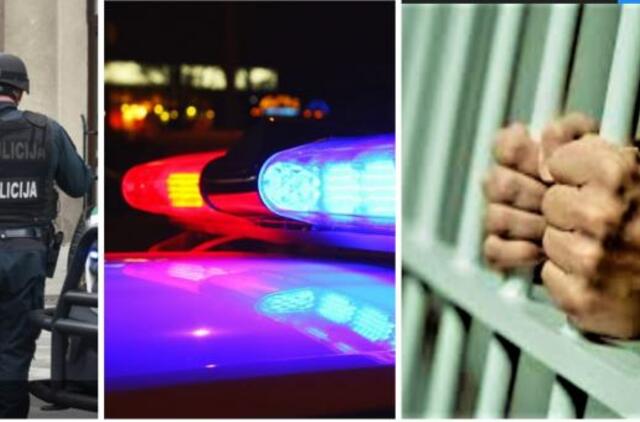 Suvestinė: vagystės, plėšimai, 486 šoviniai