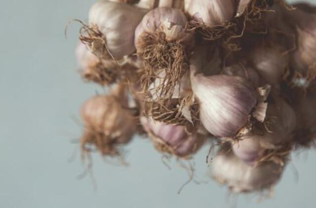 Vasarinę alergiją žiedadulkėms padės sumažinti ir maisto produktai