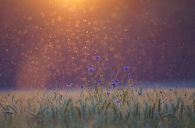 Antradienio horoskopas 12-kai zodiako ženklų