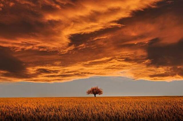 Ketvirtadienio horoskopas 12-kai zodiako ženklų