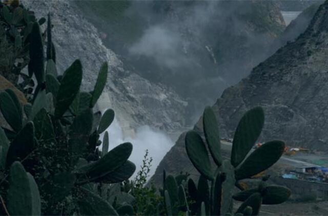 Nidos meno kolonijoje - vasaros paroda