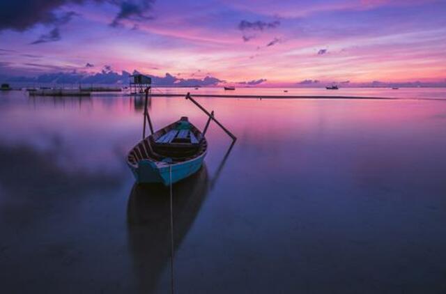 Penktadienio horoskopas 12-kai zodiako ženklų