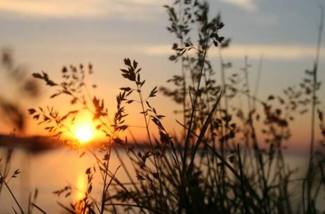 Pirmadienio horoskopas 12-kai zodiako ženklų