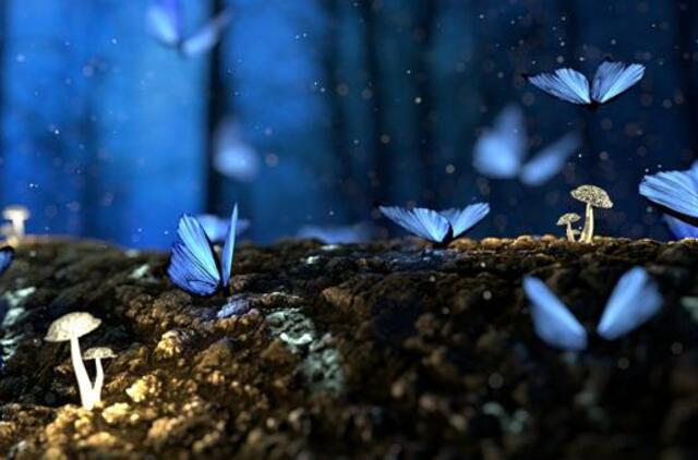 Sekmadienio horoskopas 12-kai zodiako ženklų