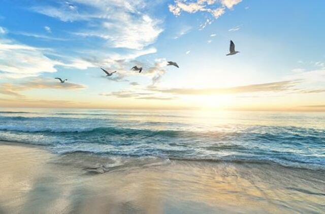 Sekmadiienio horoskopas 12-kai zodiako ženklų