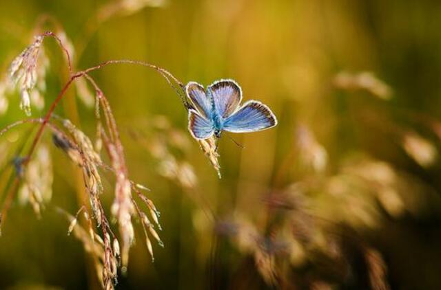 Šeštadienio horoskopas 12-ai zodiako ženklų