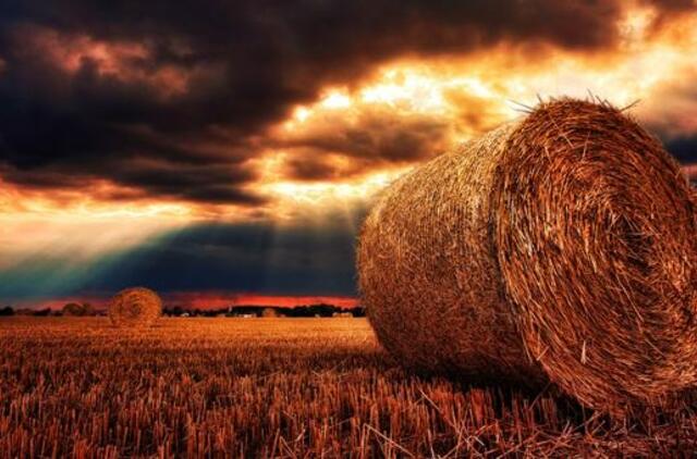 Šeštadienio horoskopas 12-kai zodiako ženklų