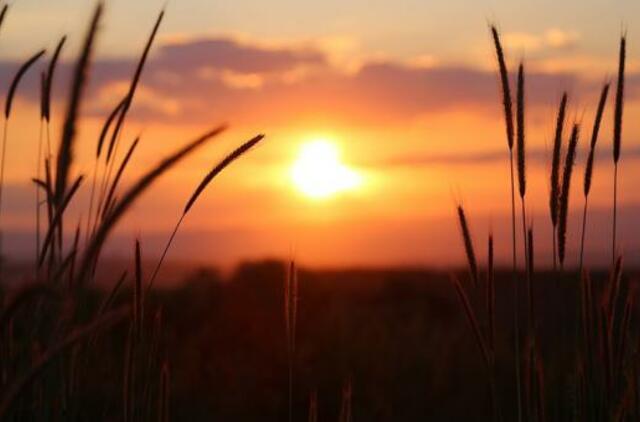 Šeštadienio horoskopas 12-kai zodiako ženklų