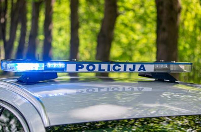 Suvestinė: pavogė alkoholinių gėrimų ir jėgos aitvarą