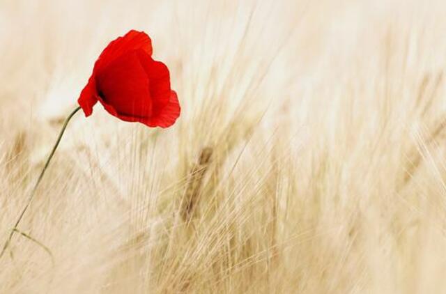 Trečiadienio horoskopas 12-kai zodiako ženklų