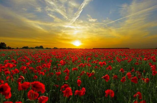 Trečiadienio horoskopas 12-kai zodiako ženklų