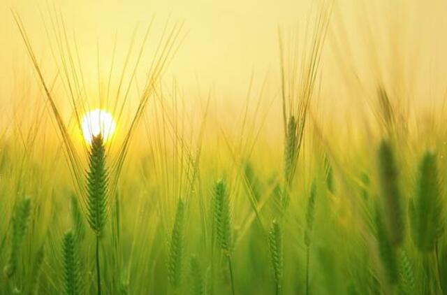 Antradienio horoskopas 12-kai zodiako ženklų