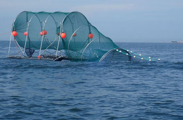 Ar amžinas žvejų ir ruonių konfliktas pagaliau išsispręs?
