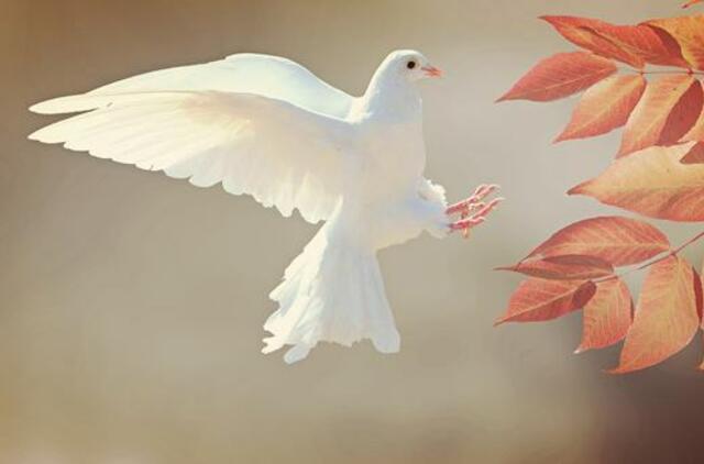 Penktadienio horoskopas 12-kai zodiako ženklų