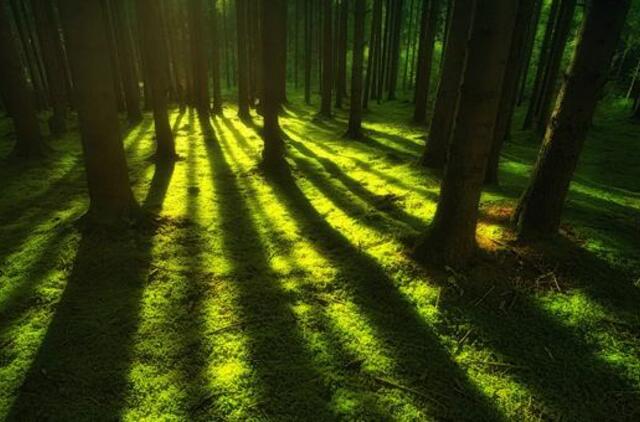 Penktadienio horoskopas 12-kai zodiako ženklų