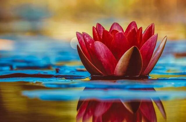 Pirmadienio horoskopas 12-kai zodiako ženklų