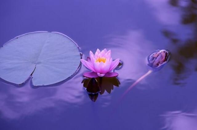 Pirmadienio horoskopas 12-kai zodiako ženklų