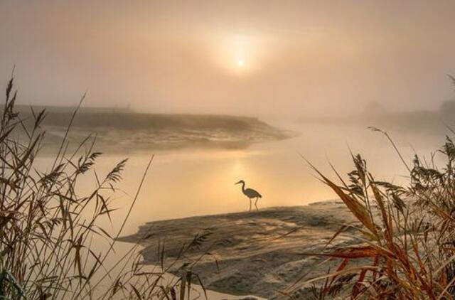 Sekmadienio horoskopas 12-kai zodiako ženklų