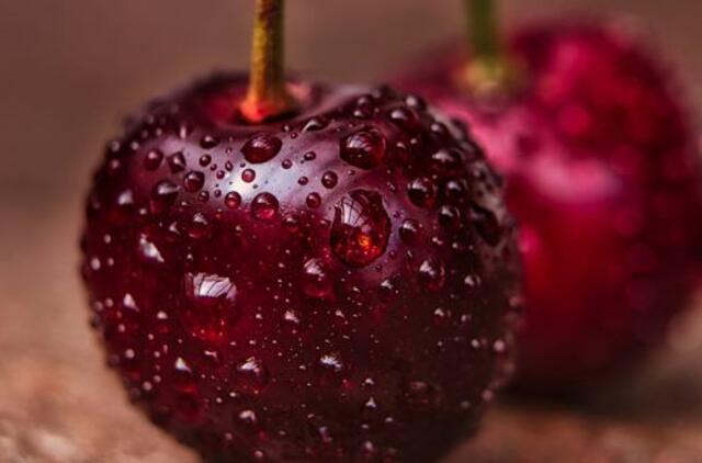 Šeštadienio horoskopas 12-kai zodiako ženklų