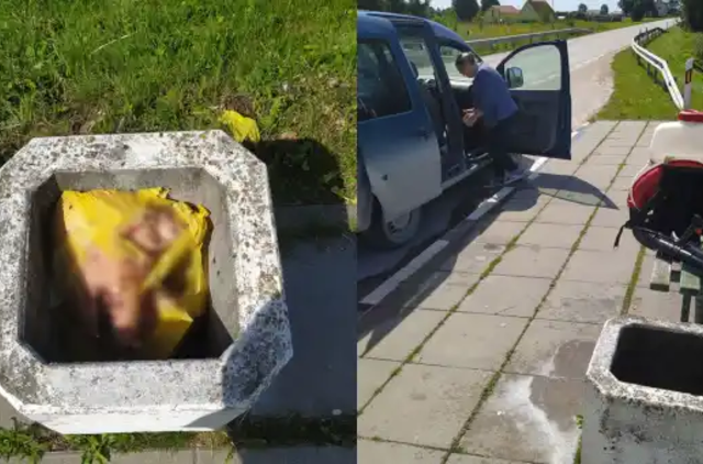 Šiukšlinėje - kiaulių galvos