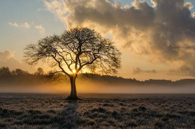 Antradienio horoskopas 12-ai zodiako ženklų