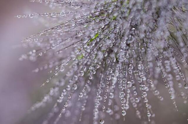 Ketvirtadienio horoskopas 12-ai zodiako ženklų