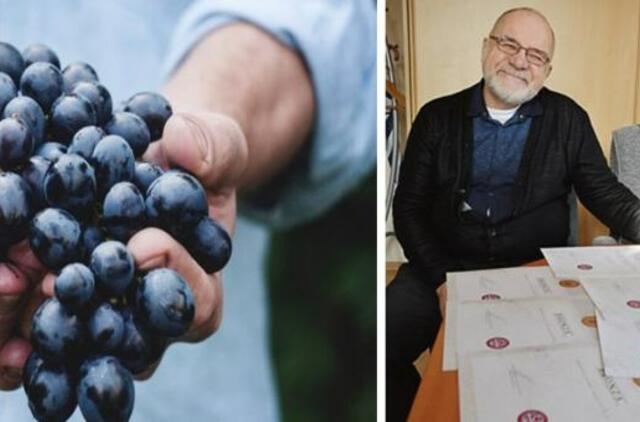 Kretingiškio vynas – vėl tarp geriausių