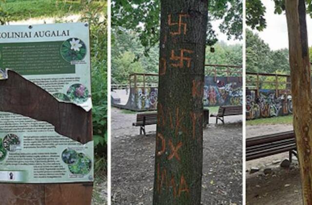 Kretingoje išniekinti medžiai: niekšybei ranką pakėlė ir mergina