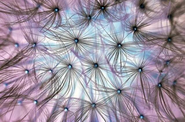 Sekmadienio horoskopas 12-ai zodiako ženklų