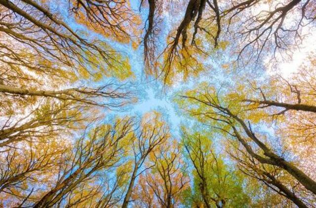 Antradienio horoskopas 12-ai zodiako ženklų