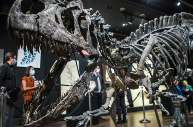 Aukcione Paryžiuje už 3 mln. eurų parduotas dinozauro skeletas