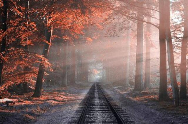 Ketvirtadienio horoskopas 12-ai zodiako ženklų