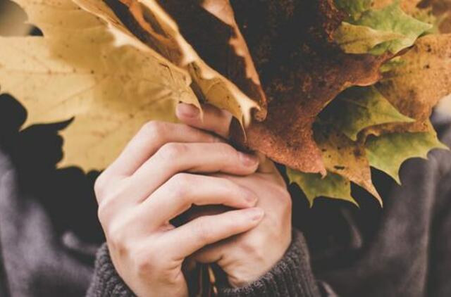 Ketvirtadienio horoskopas 12-ai zodiako ženklų