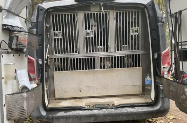 Miške paliktame automobilyje – daugiau nei dešimt šunų