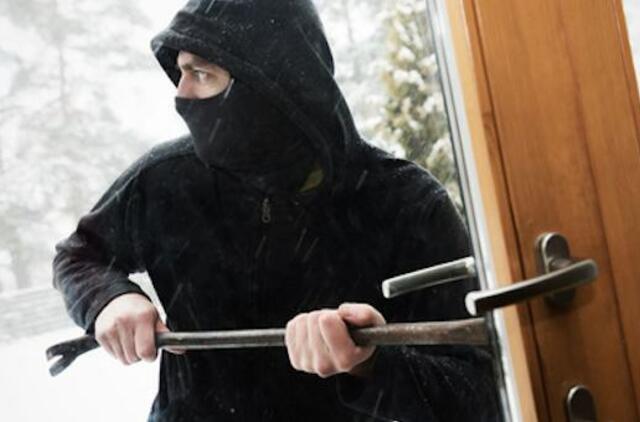 Namus nuo vagių apsaugo ne tik kameros ir užrakintos durys: atbaido lojantys šunys bei akyli kaimynai