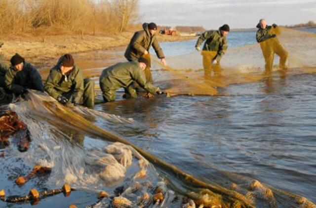 Nuo rytojaus draudžiama limituota lašišų ir šlakių žvejyba