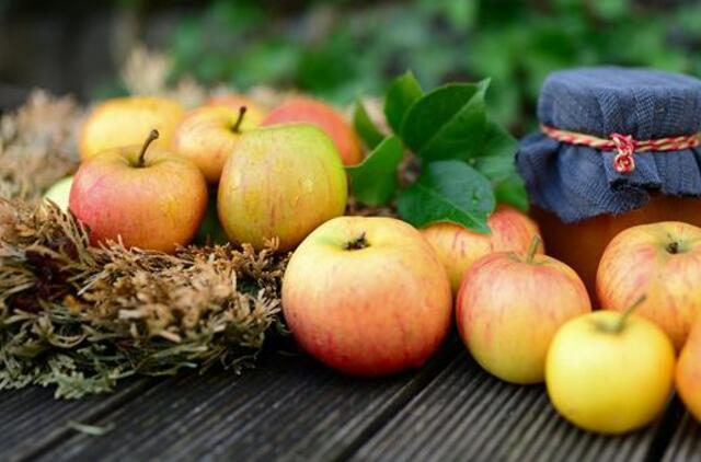 Penktadienio horoskopas 12-ai zodiako ženklų