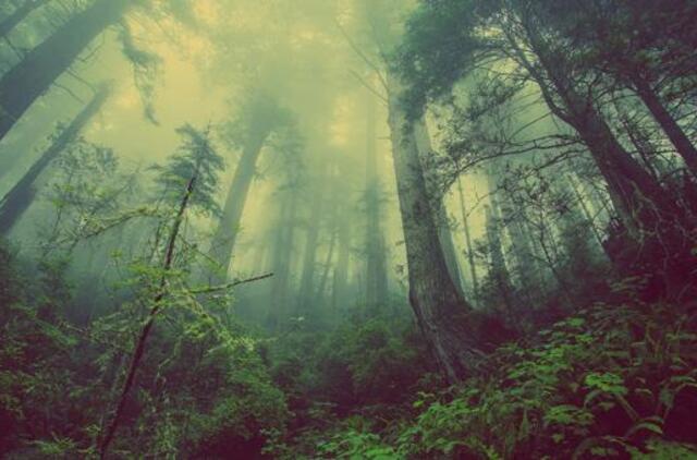 Pirmadienio horoskopas 12-ai zodiako ženklų