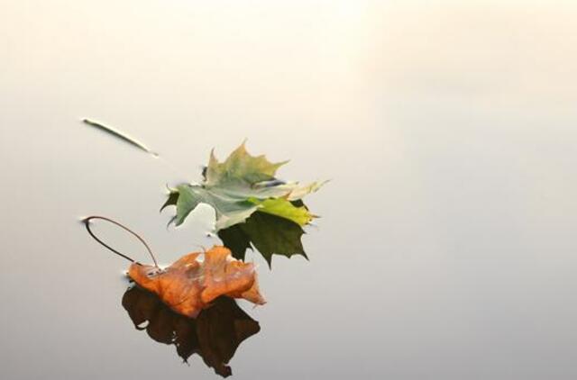 Šeštadienio horoskopas 12-ai zodiako ženklų
