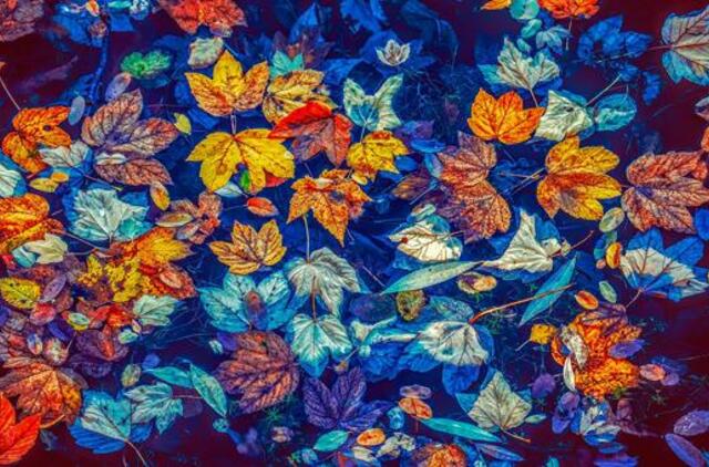 Šeštadienio horoskopas 12-ai zodiako ženklų